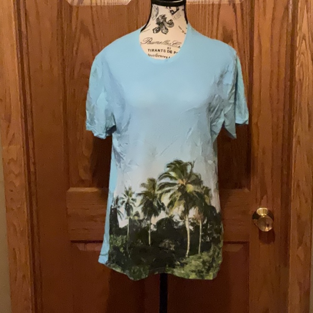 Blue Hollister Men’s T shirt w California Scene.